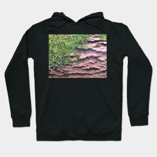 Moss and Wood Texture Hoodie